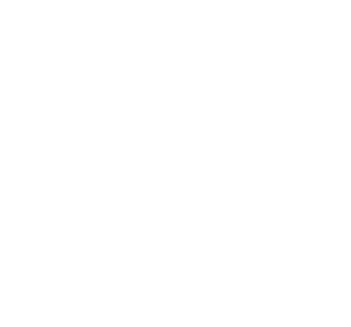 Logo der Löwenzahn-Apotheke. Das Ö im Schriftzug ist mit zwei Löwenzahnsamen gestaltet, rechts oben eine stilisierte Blüte.